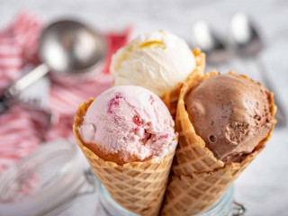 Wanted:  Director of Tasting for a Premium Gelato Manufacturer for Sale / Sunshine Coast