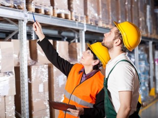 Proven Performer and Market Leader, Import Wholesale Distribution Business