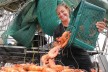 Seafood Distribution  3 Days Only, Strong Community Following