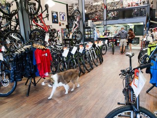 Fantastic Lifestyle Bicycle Sales Centre