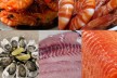 Seafood Distribution  3 Days Only, Strong Community Following